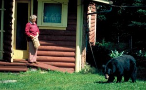 Woman feeding bear